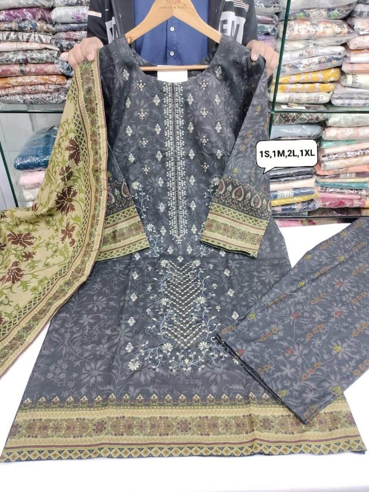 674544919_1479751547495527_3446033390074523901_n New Pakistani embroiderilawn with shawl dupatta (thick cloth) - Image 4