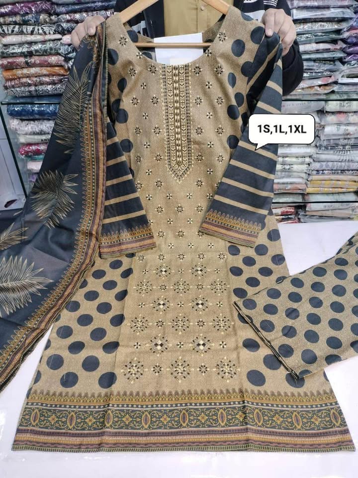 675035716_927914756783063_4249224921913752024_n New Pakistani embroiderilawn with shawl dupatta (thick cloth) - Image 5